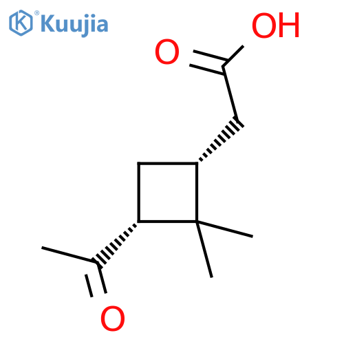 2-[(1R,3R)-3-acetyl-2,2-dimethylcyclobutyl]acetic acid structure