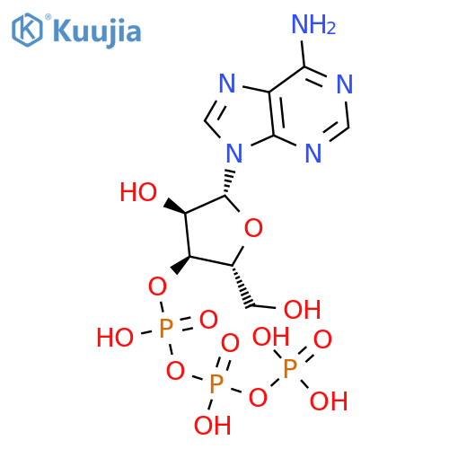 55612-37-8 structure