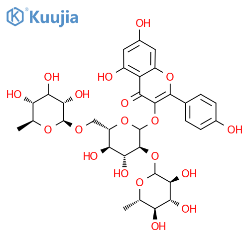 clitorin structure