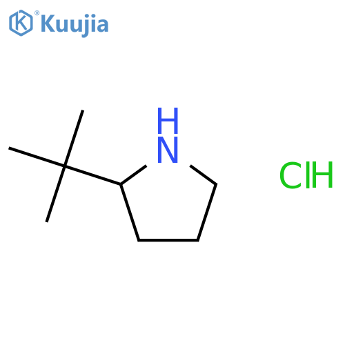 2-tert-butylpyrrolidine hydrochloride structure