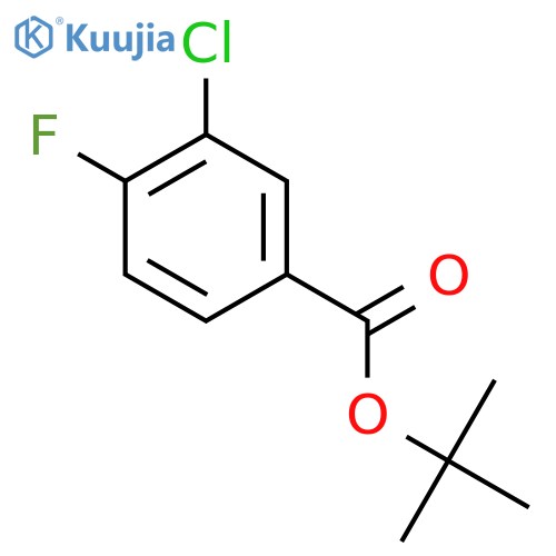 Benzoic acid, 3-chloro-4-fluoro-, 1,1-dimethylethyl ester structure