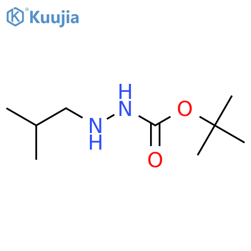 Hydrazinecarboxylic acid, 2-(2-methylpropyl)-, 1,1-dimethylethyl ester structure