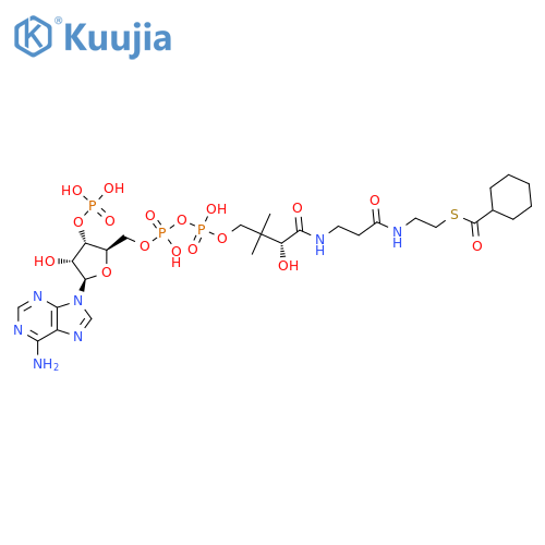 Coenzyme A, S-cyclohexanecarboxylate structure