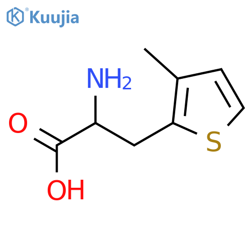 2-amino-3-(3-methylthiophen-2-yl)propanoic acid structure