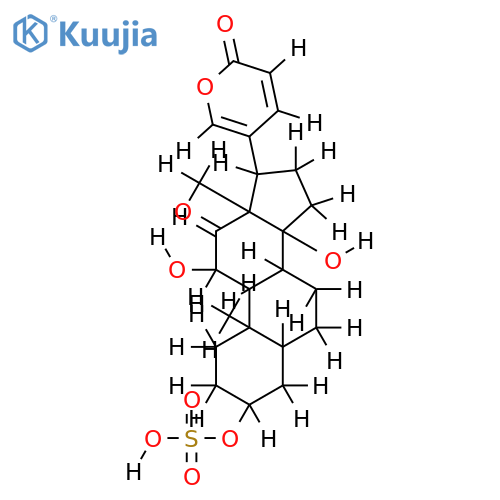 Arenobufogenin 3-sulfate structure