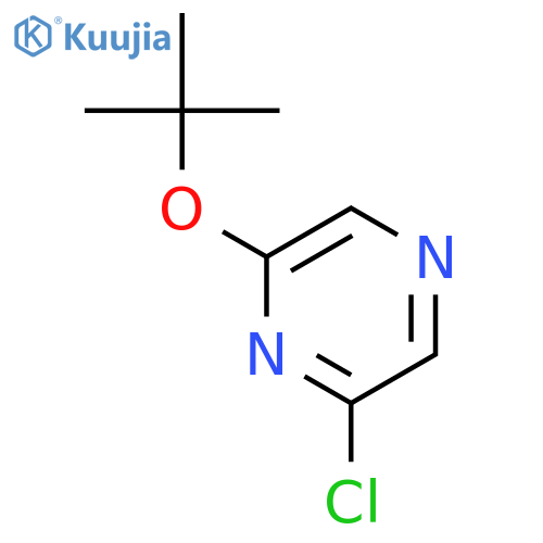 2-chloro-6-tert-butyl pyrazine structure