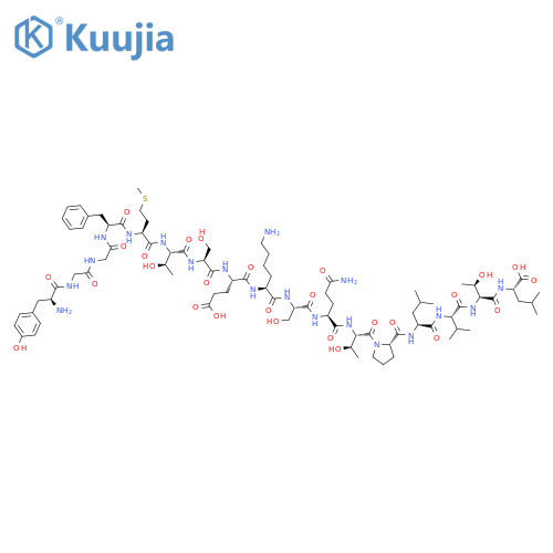 γ-endorphin structure