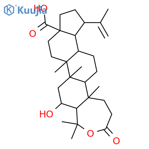 6-Hydroxy-3,4-seco-20(29)-lupen-3,4-olid-28-oic acid; 6β-form structure