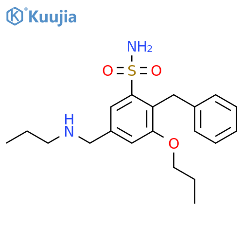 Benzenesulfonamide,2-(phenylmethyl)-3-propoxy-5-[(propylamino)methyl]- structure