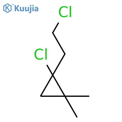 Cyclopropane, 1-chloro-1-(2-chloroethyl)-2,2-dimethyl- structure