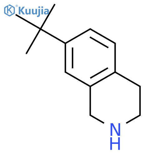 7-tert-butyl-1,2,3,4-tetrahydroisoquinoline structure