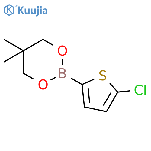 2-(5-chlorothiophen-2-yl)-5,5-dimethyl-1,3,2-dioxaborinane structure