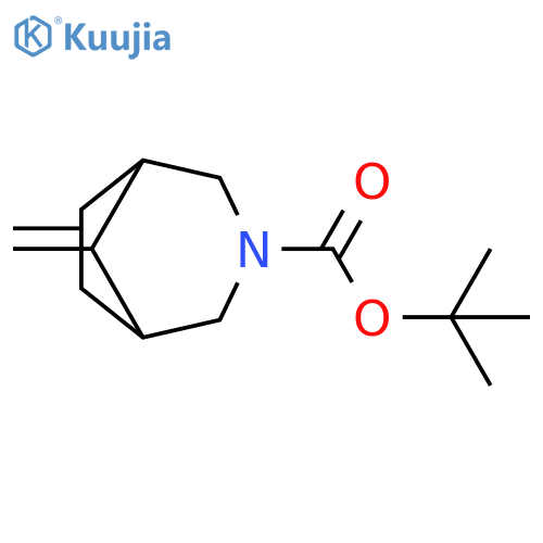 tert-butyl 8-methylene-3-azabicyclo[3.2.1]octane-3-carboxylate structure