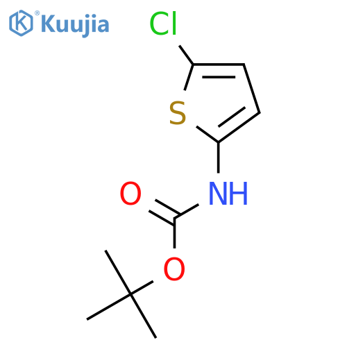tert-butyl N-(5-chlorothiophen-2-yl)carbamate structure