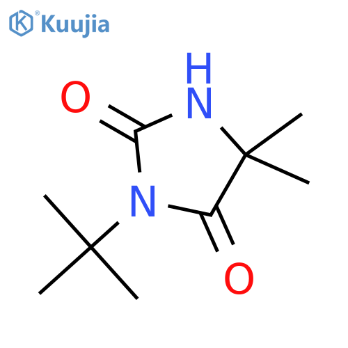 3-tert-butyl-5,5-dimethylimidazolidine-2,4-dione structure