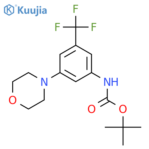 (3-Morpholin-4-yl-5-trifluoromethyl-phenyl)-carbamic acid tert-butyl ester structure