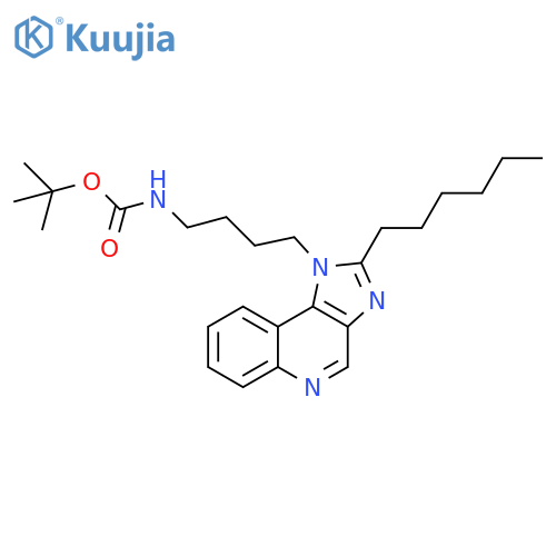 Carbamic acid, [4-(2-hexyl-1H-imidazo[4,5-c]quinolin-1-yl)butyl]-, 1,1-dimethylethyl ester (9CI) structure