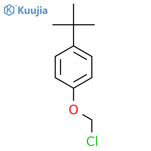 Benzene, 1-(chloromethoxy)-4-(1,1-dimethylethyl)- structure