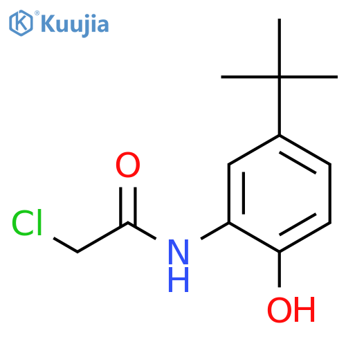 N-(5-tert-Butyl-2-hydroxy-phenyl)-2-chloro-acetamide structure
