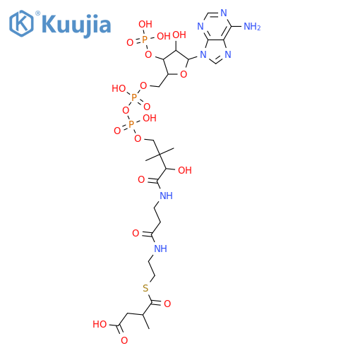 Coenzyme A, S-[4-hydrogen methylbutanedioate], (S)- (9CI) structure