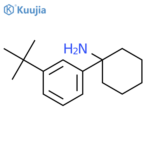 1-(3-tert-butylphenyl)cyclohexan-1-amine structure