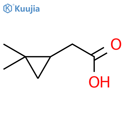 2-(2,2-dimethylcyclopropyl)acetic acid structure
