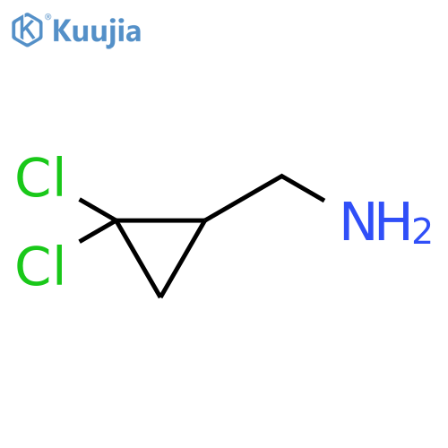 (2,2-dichlorocyclopropyl)methanamine structure