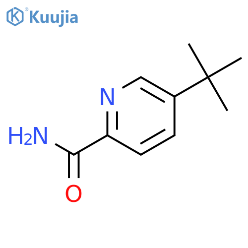 2-Pyridinecarboxamide, 5-(1,1-dimethylethyl)- structure