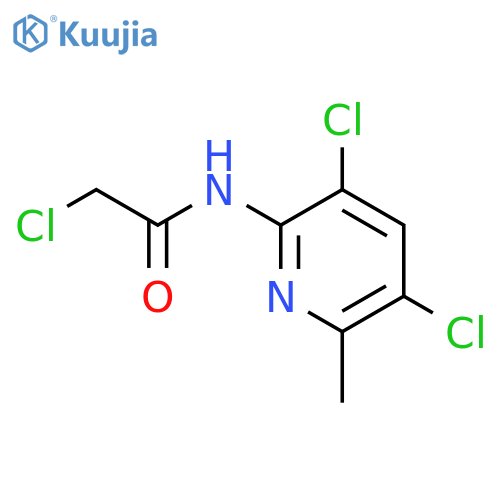 2-chloro-N-(3,5-dichloro-6-methylpyridin-2-yl)acetamide structure