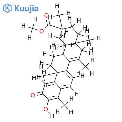 Netzahualcoyene structure