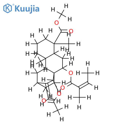 margotanian structure