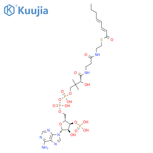 Coenzyme A, S-(2E,4E)-2,4-octadienoate structure
