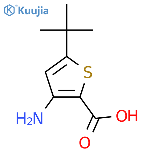 3-amino-5-tert-butylthiophene-2-carboxylic acid structure