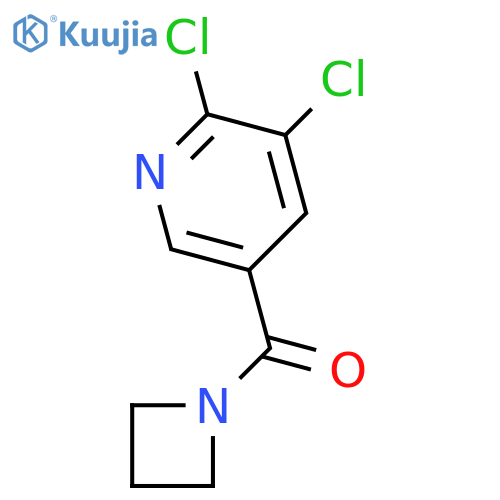 5-(azetidin-1-ylcarbonyl)-2,3-dichloropyridine structure