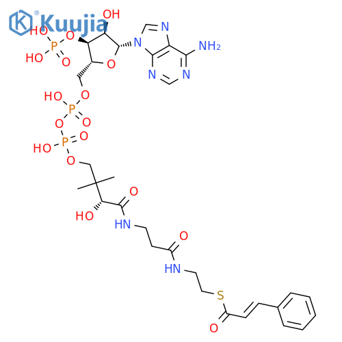 (E)-Cinnamoyl-coA structure