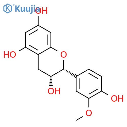 3'-methylated epicatechin structure