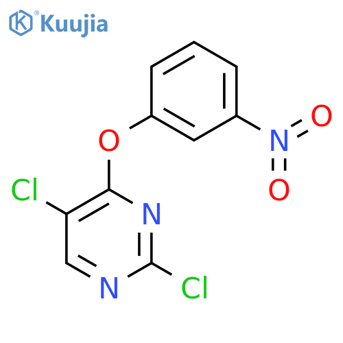 2,5-dichloro-4-(3-nitrophenoxy)pyriMidine structure