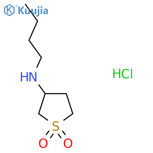 3-(butylamino)-1λ?-thiolane-1,1-dione hydrochloride structure