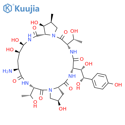 Echinocandin B structure