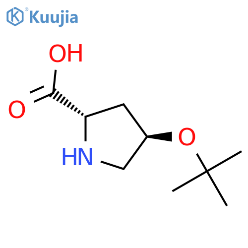 (2S,4R)-4-(tert-butoxy)pyrrolidine-2-carboxylic acid structure