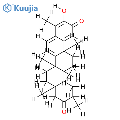 maitenin structure