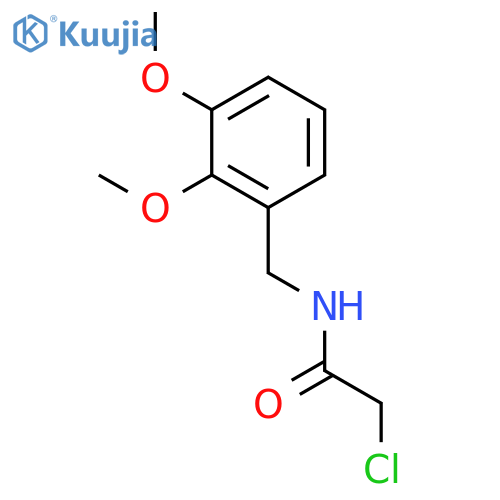 2-chloro-N-(2,3-dimethoxybenzyl)acetamide structure