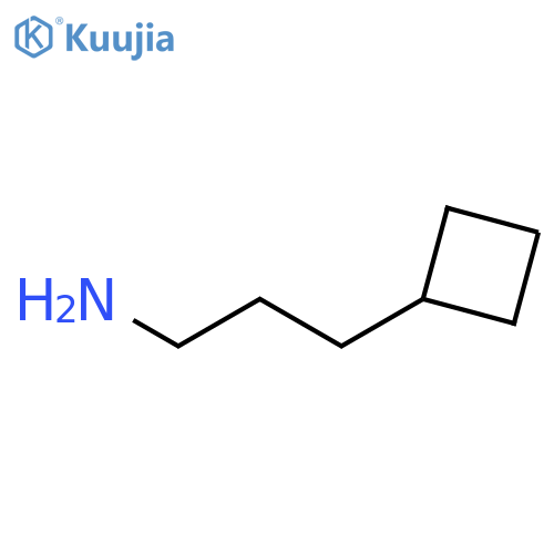 Cyclobutanepropanamine Hydrochloride structure