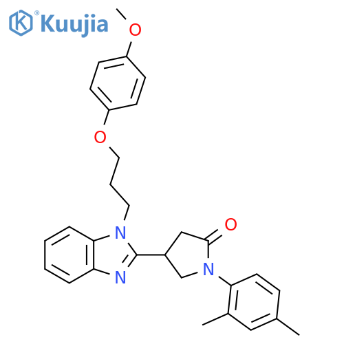 1-(2,4-dimethylphenyl)-4-{1-3-(4-methoxyphenoxy)propyl-1H-1,3-benzodiazol-2-yl}pyrrolidin-2-one structure