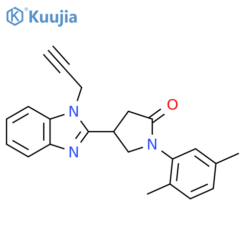1-(2,5-dimethylphenyl)-4-1-(prop-2-yn-1-yl)-1H-1,3-benzodiazol-2-ylpyrrolidin-2-one structure