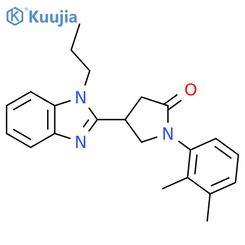 1-(2,3-dimethylphenyl)-4-(1-propyl-1H-1,3-benzodiazol-2-yl)pyrrolidin-2-one structure