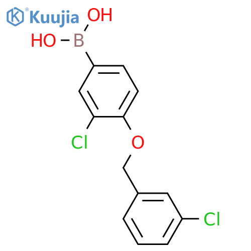 3-Chloro-4-(3'-chlorobenzyloxy)phenylboronic acid structure