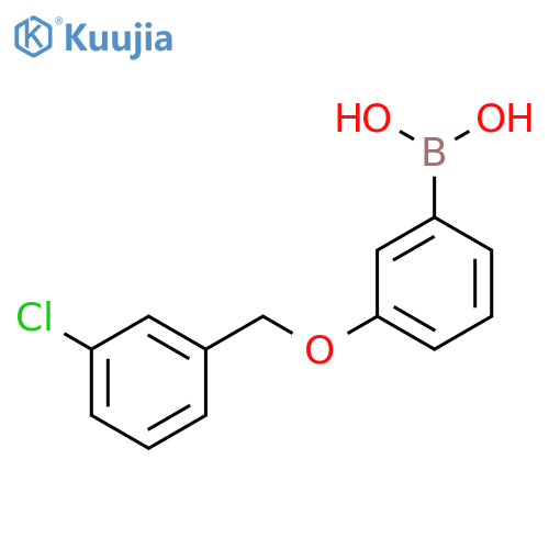 3-(3'-Chlorobenzyloxy)phenylboronic Acid structure