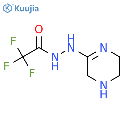 2,2,2-trifluoro-N'-[(2Z)-piperazin-2-ylidene]acetohydrazide structure