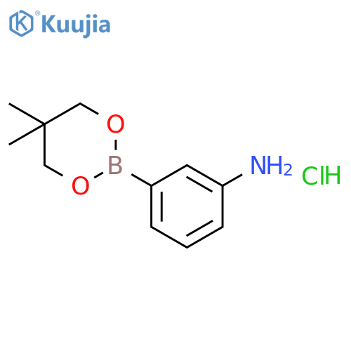 3-(5,5-Dimethyl-1,3,2-dioxaborinan-2-yl)aniline hydrochloride structure